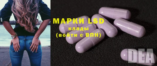 PSILOCYBIN Каменка
