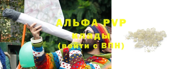 PSILOCYBIN Каменка