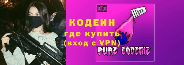 PSILOCYBIN Каменка