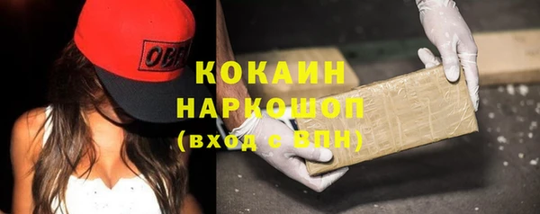 PSILOCYBIN Каменка