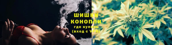 PSILOCYBIN Каменка